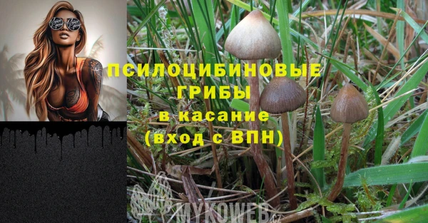 PSILOCYBIN Абаза